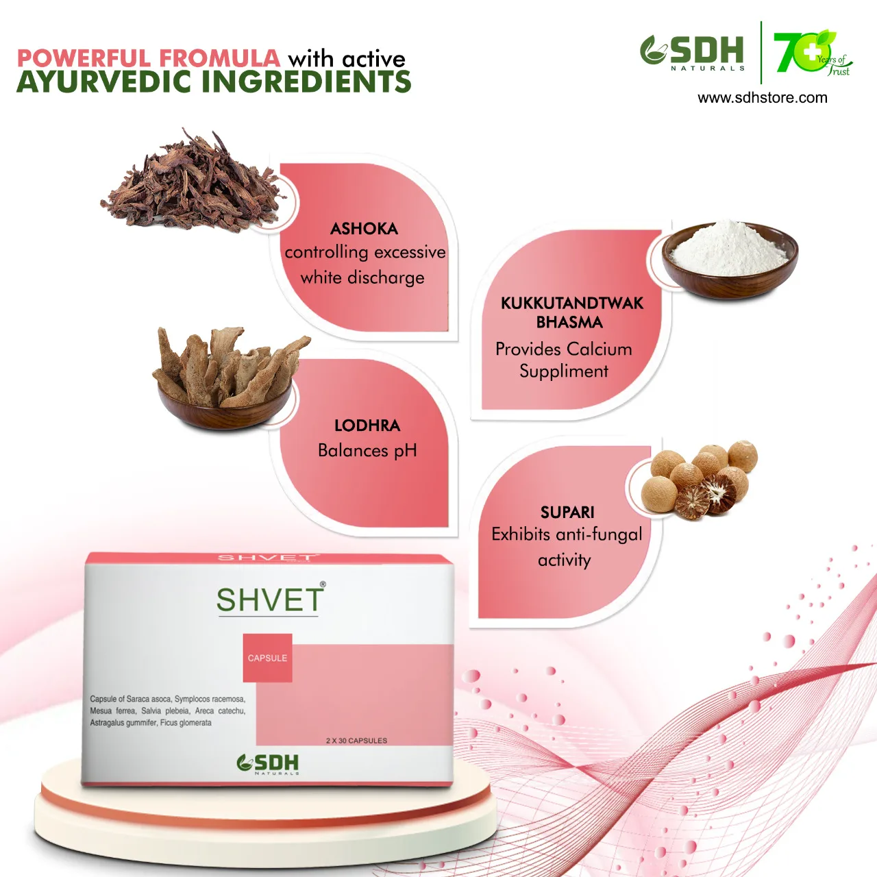 Shvet Capsule - Image 4