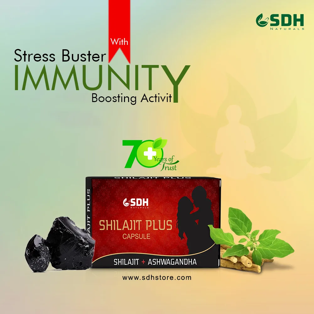 Shilajit Plus capsule - Image 4