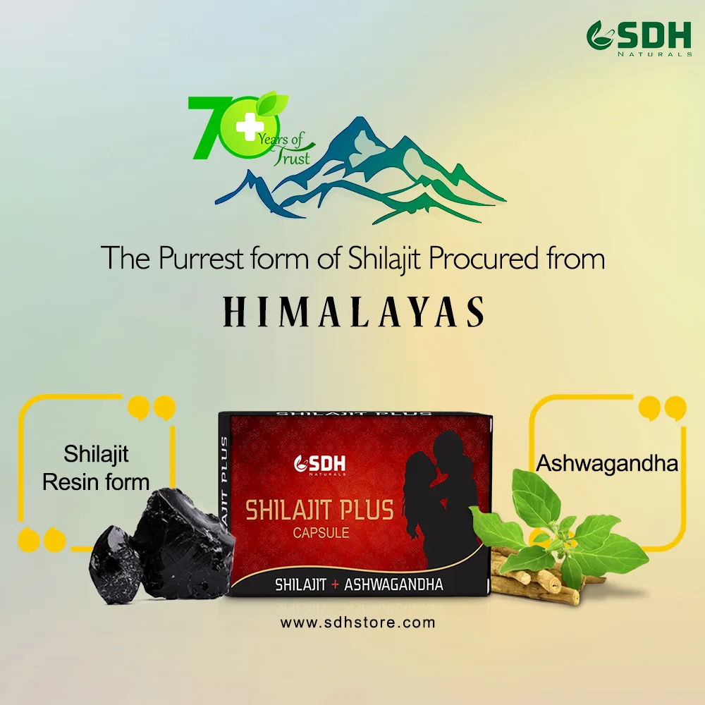 Shilajit Plus capsule - Image 2