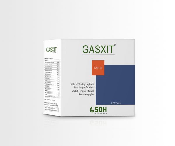Gasxit-3D-packshot-28-07-2022 - Copy